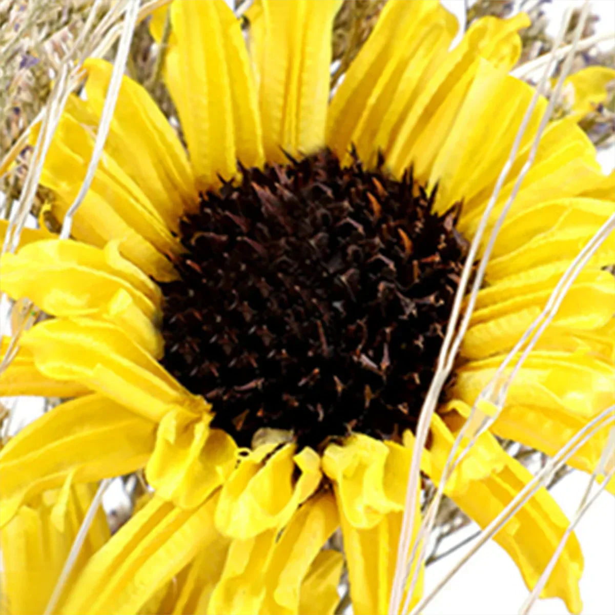 Enchanted Sunflower Lamp-2